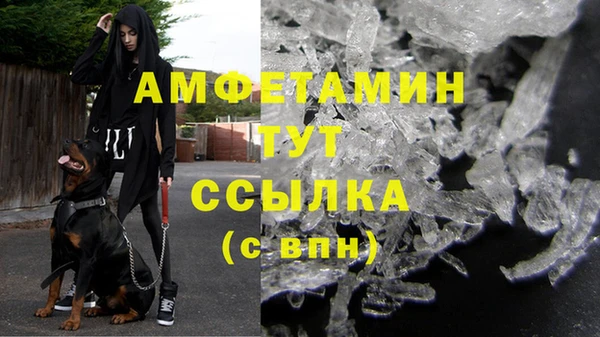 СК Горно-Алтайск