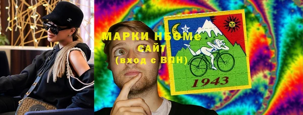 ECSTASY Гусь-Хрустальный